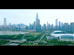 Global Soul Limited Company introduction